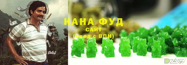 мдпв Богородицк