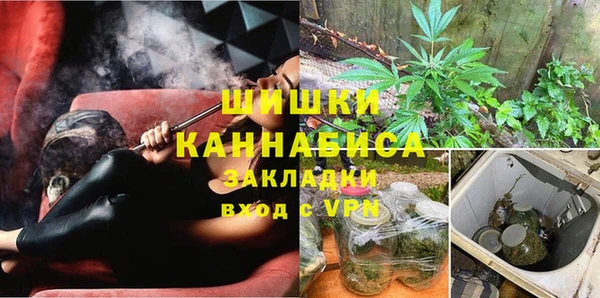 mdpv Бородино