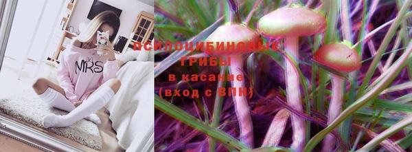 мдпв Богородицк