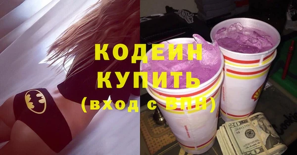мдпв Богородицк